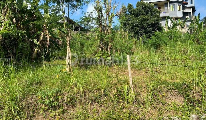 Tanah Jual Lokasi Pantai Nyanyi