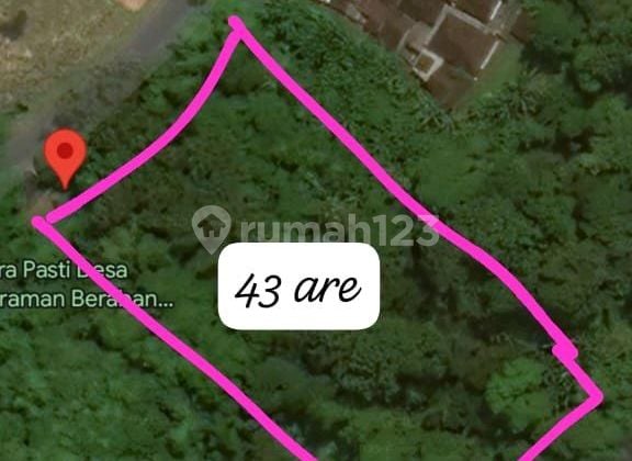 Tanah Jual Lokasi Pandak Gede