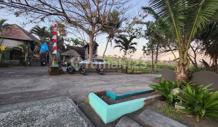 Tanah Jual Lokasi Medewi