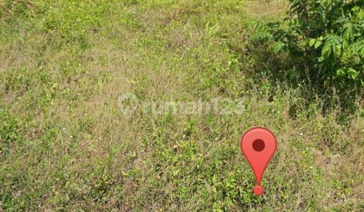 Land for Sale Location Canggu