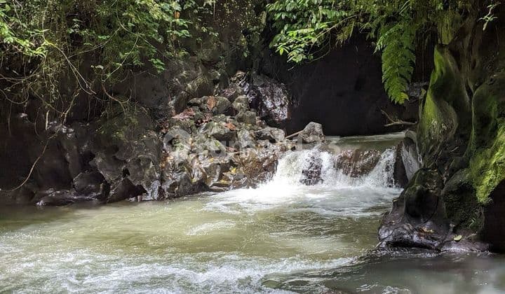 Tanah Jual Lokasi Lodtunduh