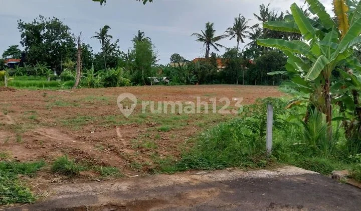 Land for Sale Ship Location