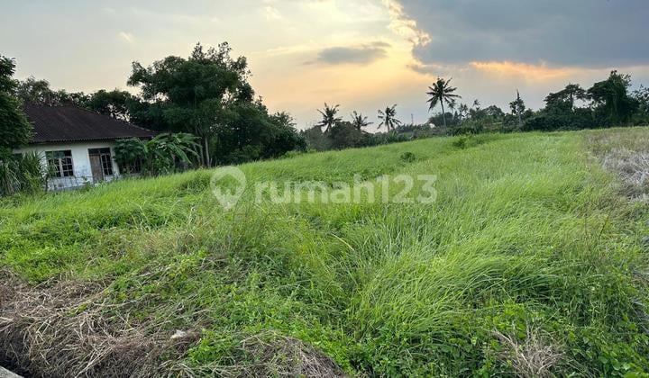Tanah Jual Lokasi Nyanyi