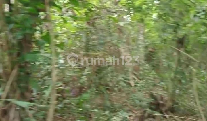 Tanah Jual Lokasi Kemenuh