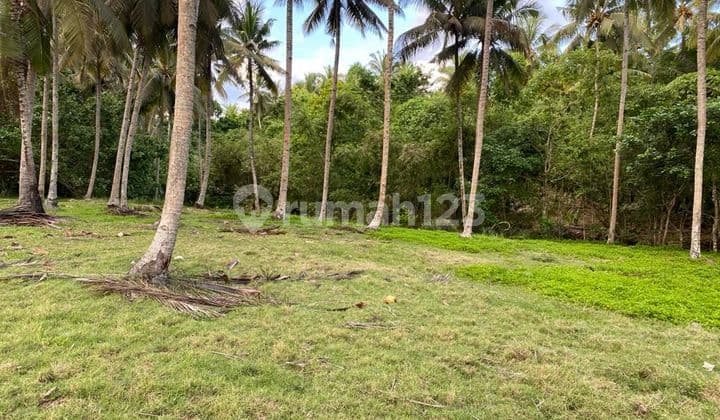 Tanah Jual Lokasi Pekutatan