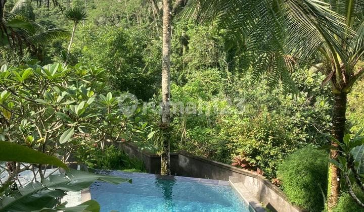 Villa Jual Lokasi Tegallalang