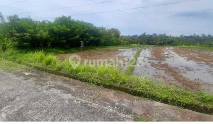 Tanah Jual Lokasi Selemadeg