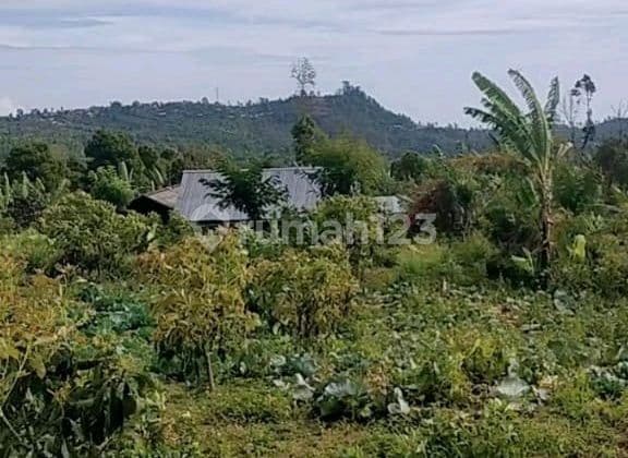 Land for Sale in Gesing Location