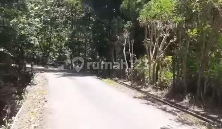 Land for Sale in Nusa Dua Location