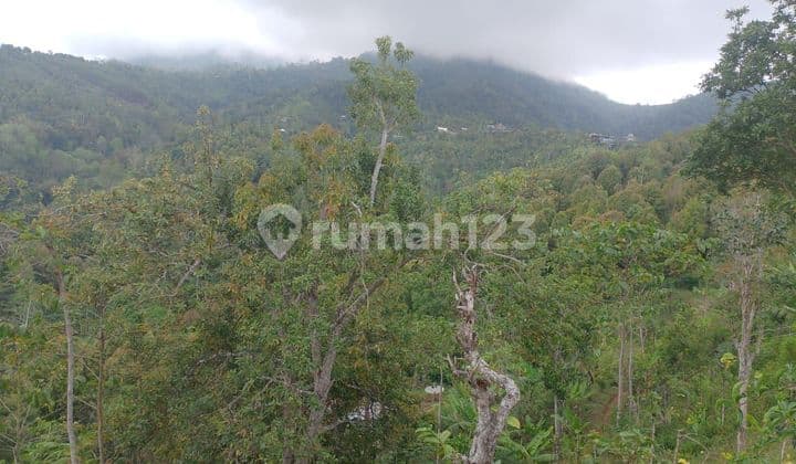 Tanah Jual Lokasi Munduk