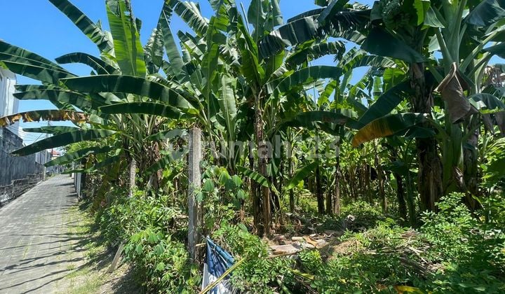 Land for Sale in Batu Belig Location