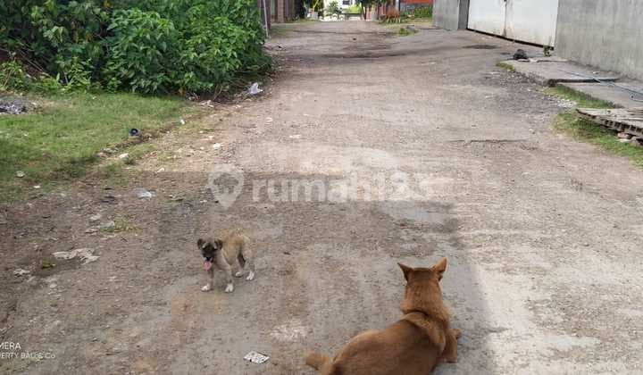 Tanah Jual Lokasi Cargo