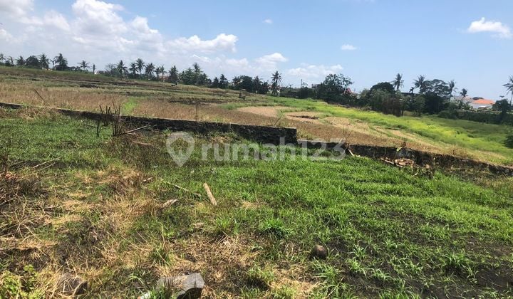 Land for Sale Sempol Location