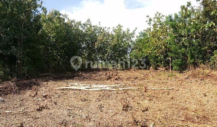 Land for Sale Ungasan Location