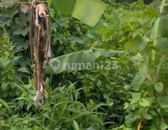 Tanah Jual Lokasi Mas