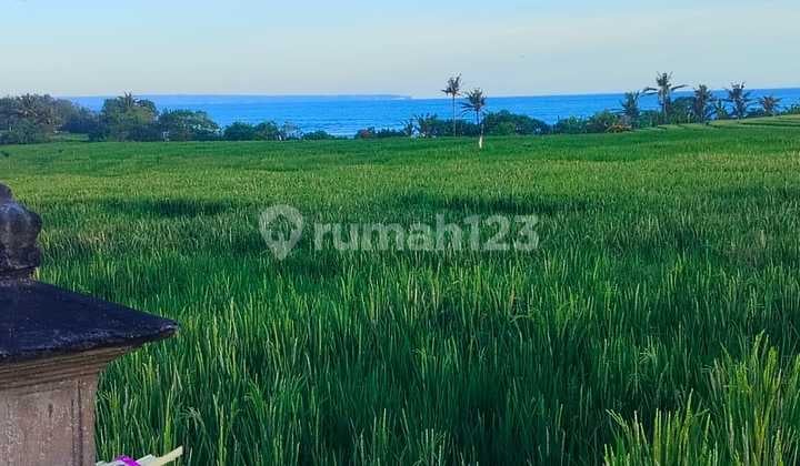 Land for Sale Pasut Location
