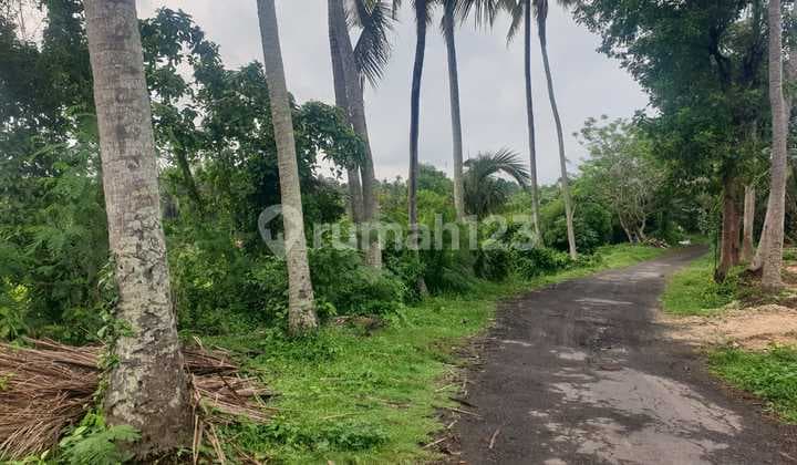 Tanah Jual Lokasi Saba