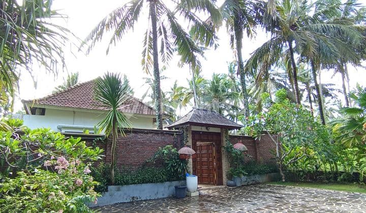Villa Jual Lokasi Pekutatan