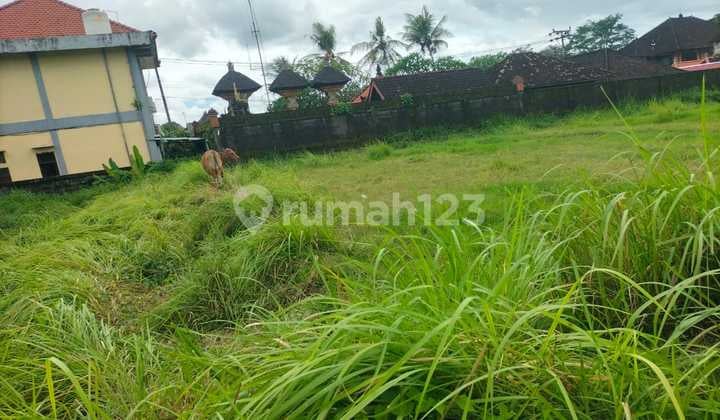 Tanah Jual Lokasi Kemenuh