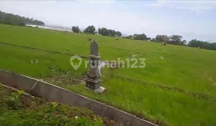 Tanah Jual Lokasi Jembrana