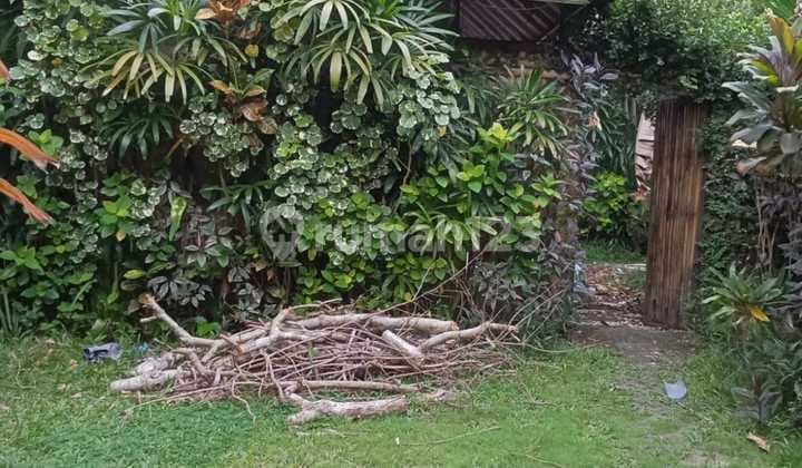 Tanah Jual Lokasi Batu Belig
