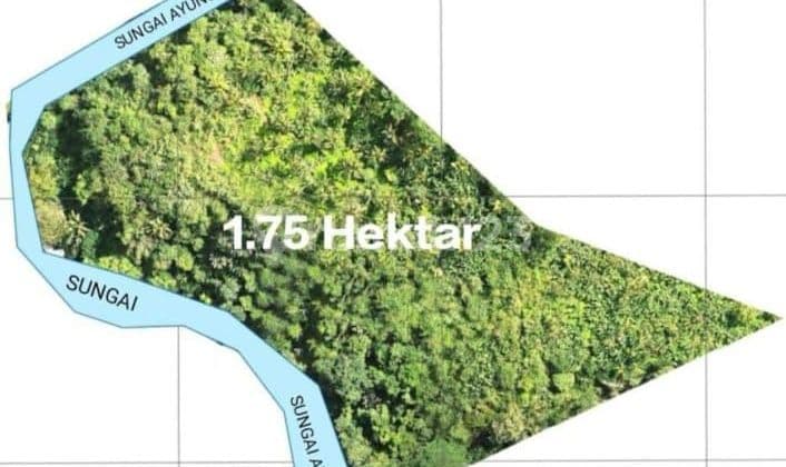 Tanah Jual Lokasi Payangan