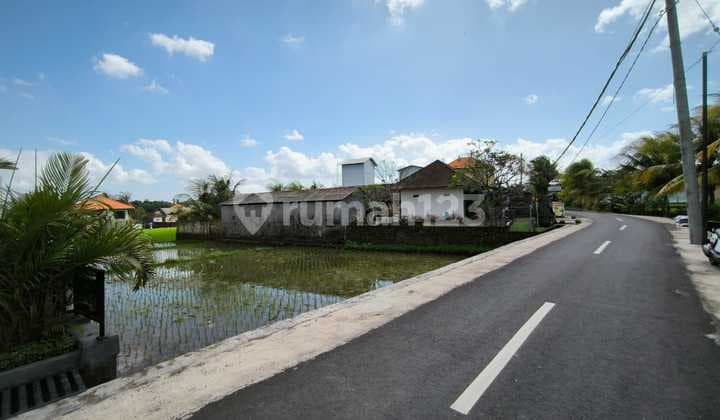 Tanah Jual Lokasi Kedungu