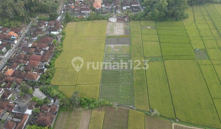 Tanah Jual Lokasi Kelating