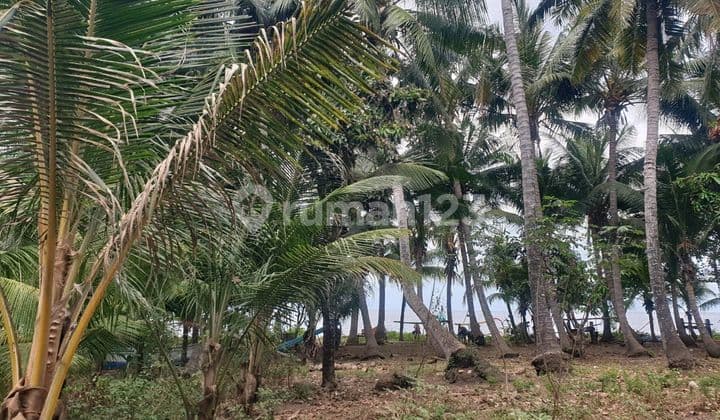 Tanah Jual Lokasi Tejakula