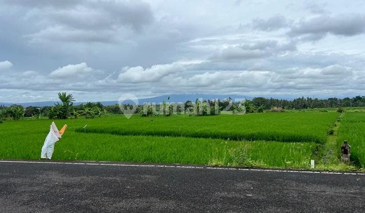 Tanah Jual Lokasi Pangkung Tibah