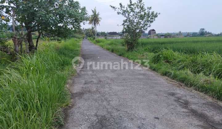 Tanah Jual Lokasi Pulukan