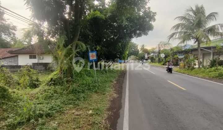 Tanah Jual Lokasi Gerokgak