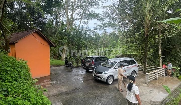 Tanah Jual Lokasi Tegallalang