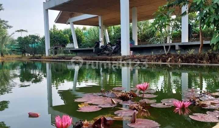 Villa Di Banjaran Bandung Bu Jual Cepat View Gunung+akses Sungai