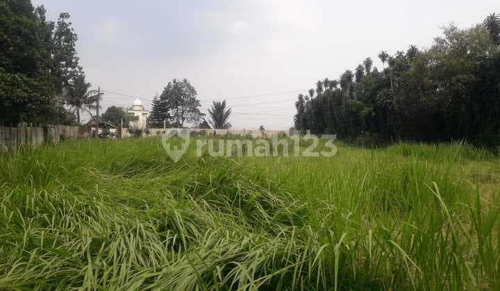 Tanah Di Tanah Sareal Bogor Ajb 5500 M²