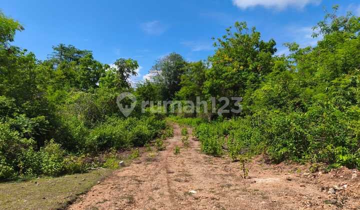 Cheapest Land in Gayang Sari Kutuh Nusa Dua Near Pandawa Beach