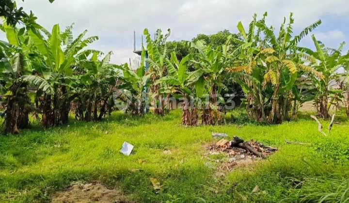 Tanah Sangat Strategis dan Premium di Jl Bumbak Umalas Kerobokan