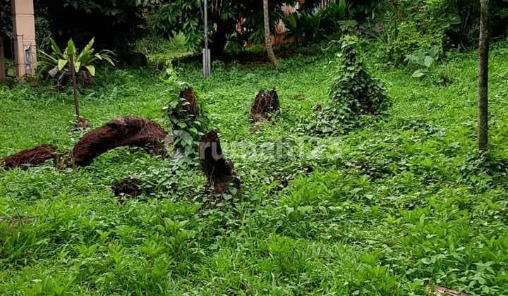 Old House for Sale in Lebak Bulus