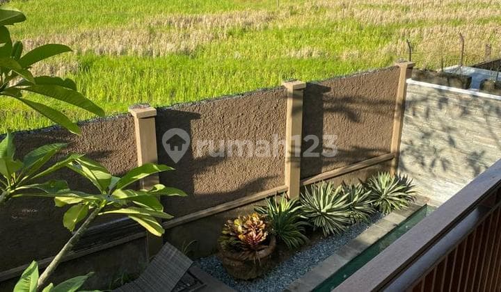 Villa Stategis Dan Fasilitas Lengkap Di Canggu Tibubeneng