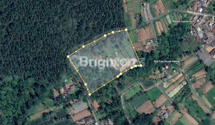 TANAH BATURITI TABANAN