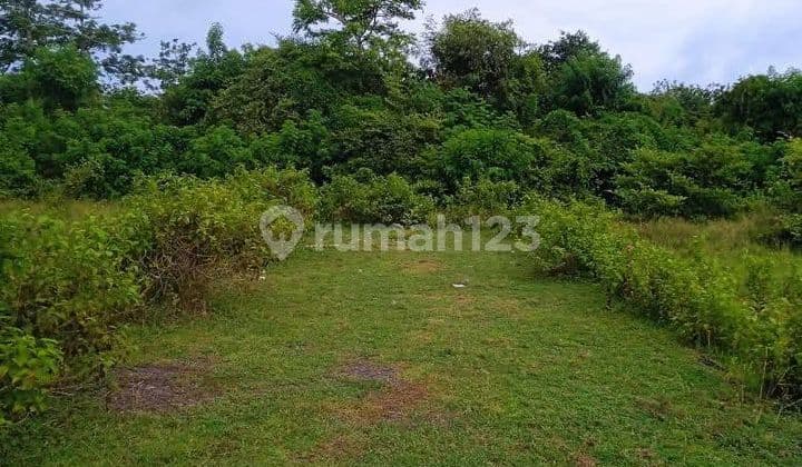 Tanah Premium dan Strategis di Balangan Dekat Pantai