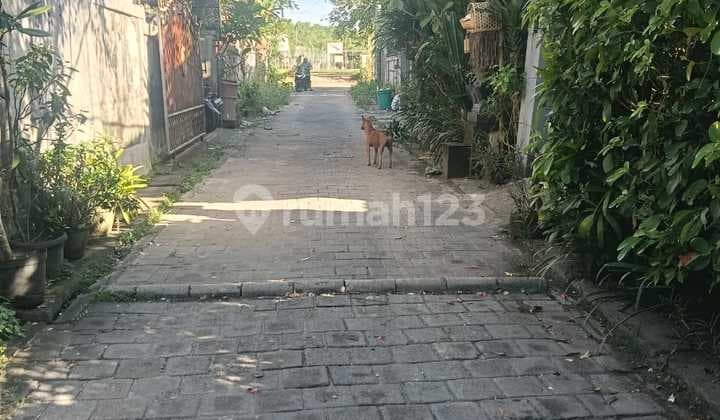 Tanah Premium Murah Di Kedonganan