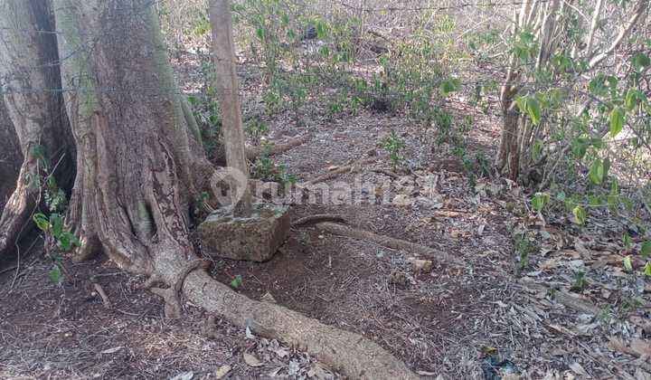 Tanah Murah Dan Strategis Di Balangan Dekat Pantai