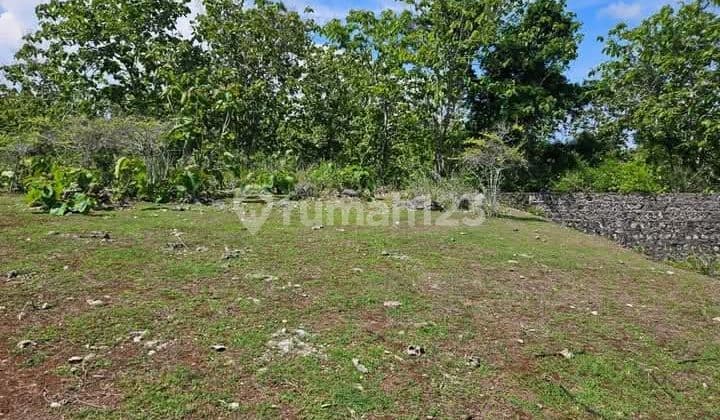 Lahan Premium2 Hektar di Balangan Dekat Pantai