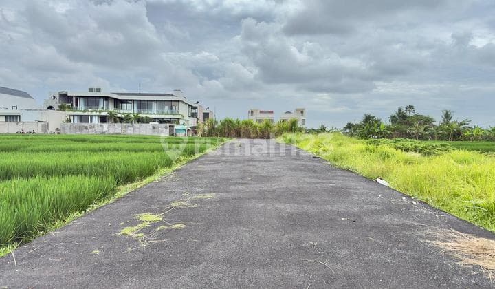 Land For Lease Super Premium di Cemagi Dekat Pantai