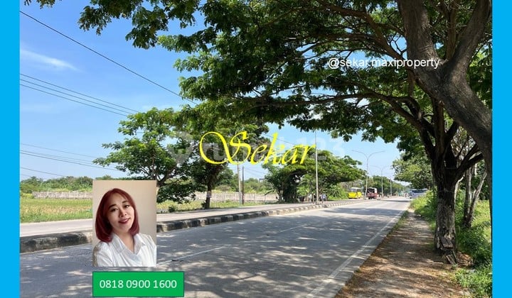 For Sale Tanah Komersial Karawang Jual Murah Pinggir Jalan Raya