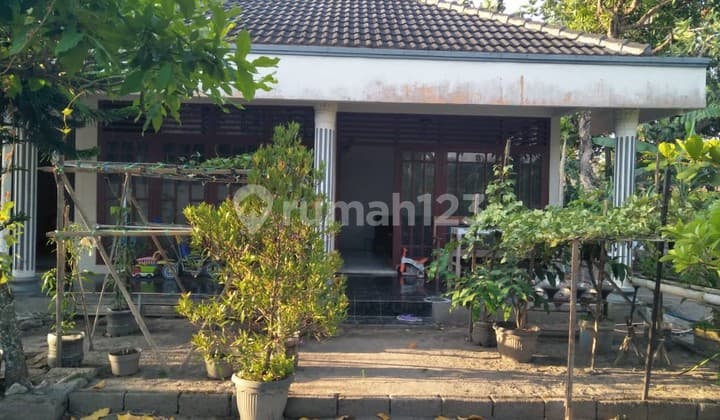 Rumah Luas di Jalan Solo Jogja 1 Menit Pasar Taji Klaten