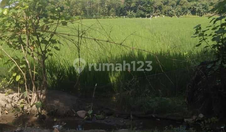 Tanah Pekarangan di Gamping 2 Menit Pasar Balecatur 1Jt Per m