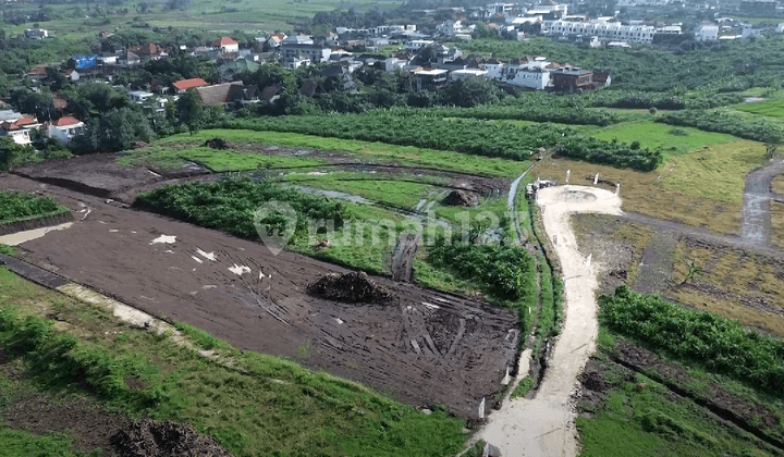 Rare Residential and Commercial Plots of Land in Canggu