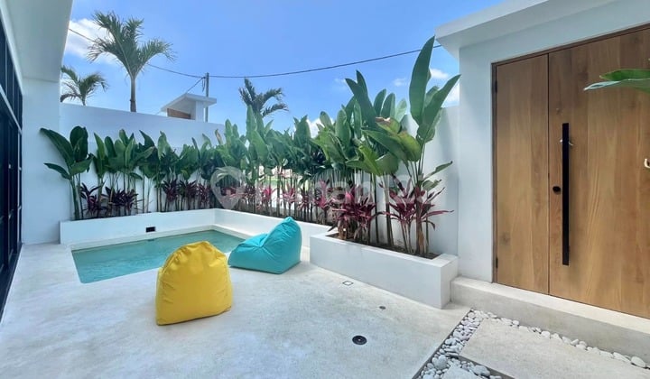 Modern Tropical Charm Villa with Rice Field Views in Pererenan, Bali